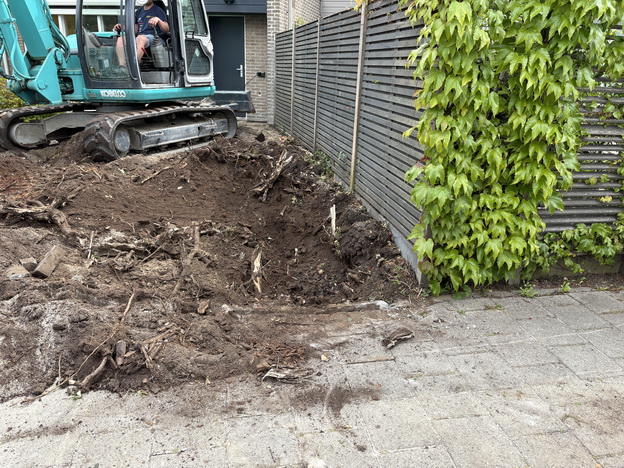 Tuin